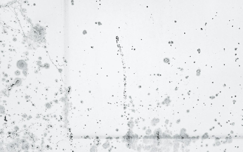 7 Signs Your Home Has a Hidden Mold Problem Before You Can Actually See or Smell It
