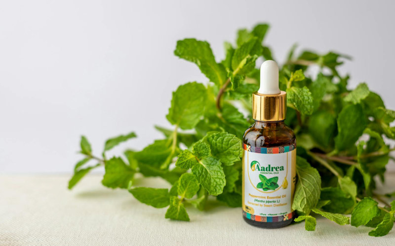 How to Build a DIY Peppermint Oil Barrier That Keeps Mice Out of Your Home All Winter