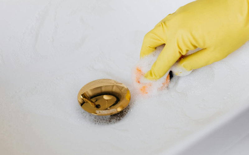 How to Get Rid of Drain Flies Permanently When Bleach and Drain Cleaner Keep Failing You
