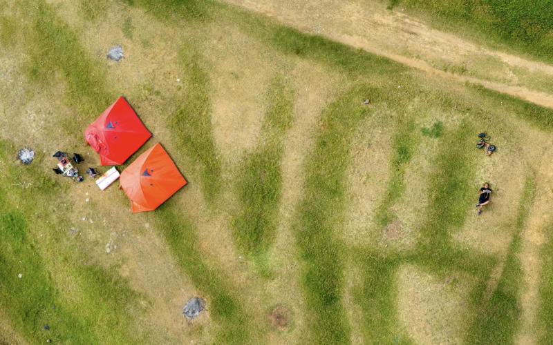 Tent Fumigation vs Spot Treatment for Drywood Termites: Which One Is Actually Worth the Cost
