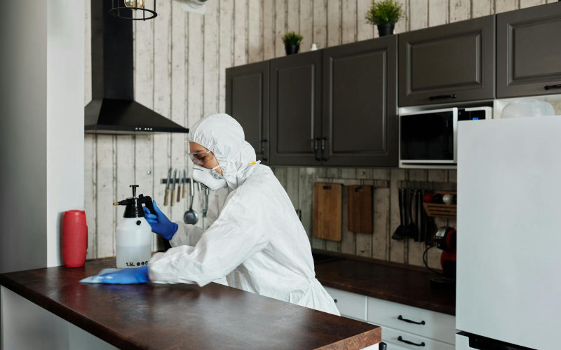 Everything You Think You Know About Disinfecting Your Kitchen Is Wrong