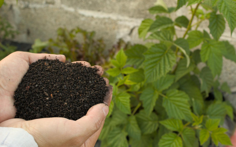 What 12 Years of Soil Health Studies Actually Reveal About Compost vs Chemical Fertilizer Yields